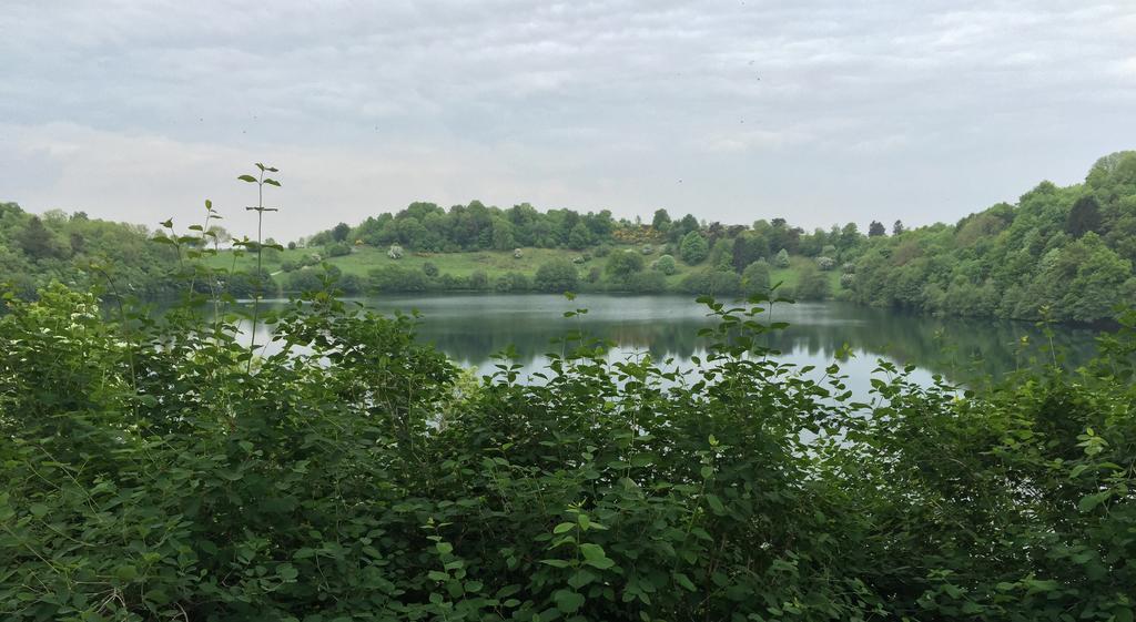 Ferienwohnung Fewo-Eifel-Mediterran Schalkenmehren Zimmer foto